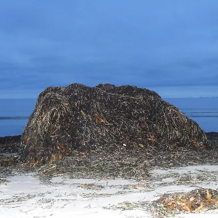 Σπίτι διακοπών 8 Person In Vig-by Traum